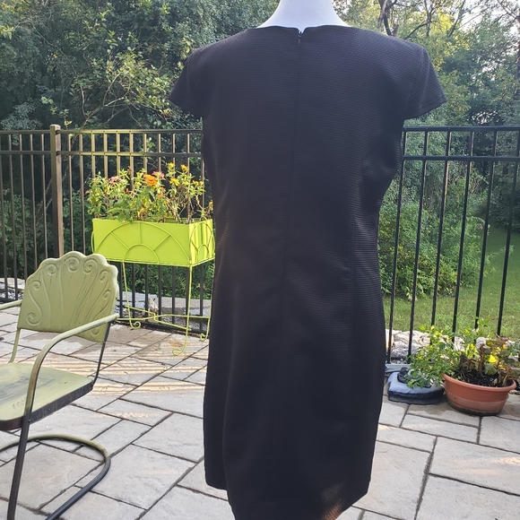 Ellen Tracey 8P Black Cap Sleeve Dress - Picture 4 of 4